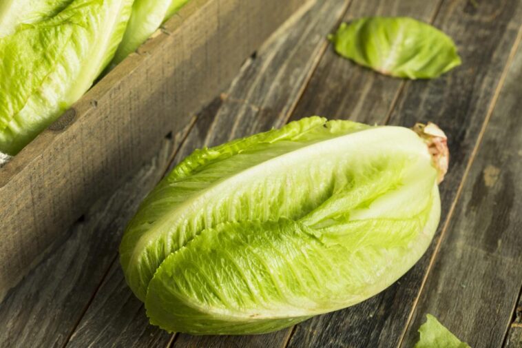Can you eat lettuce on a low-potassium diet?