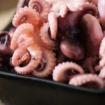 Can you eat octopus every day?