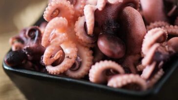 Can you eat octopus every day?