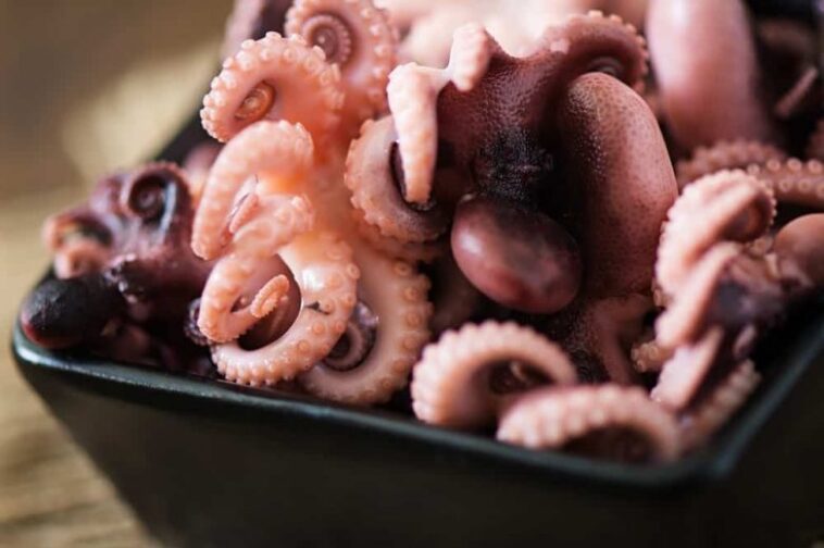Can you eat octopus every day?