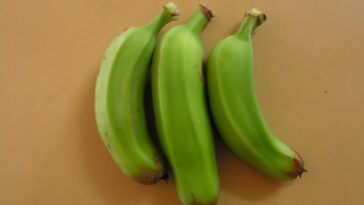 Can you eat raw green bananas?