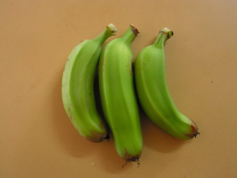 Can you eat raw green bananas?
