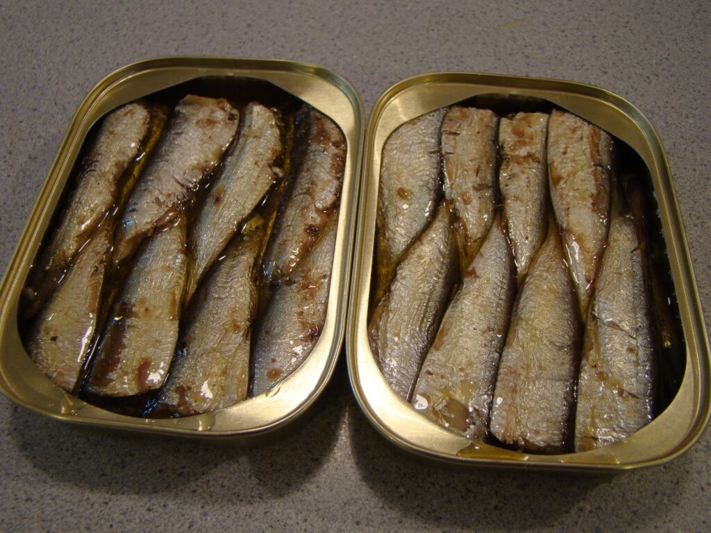 Peuton manger les arêtes des sardines en conserve