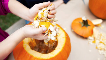 Can you eat the inside of a pumpkin?