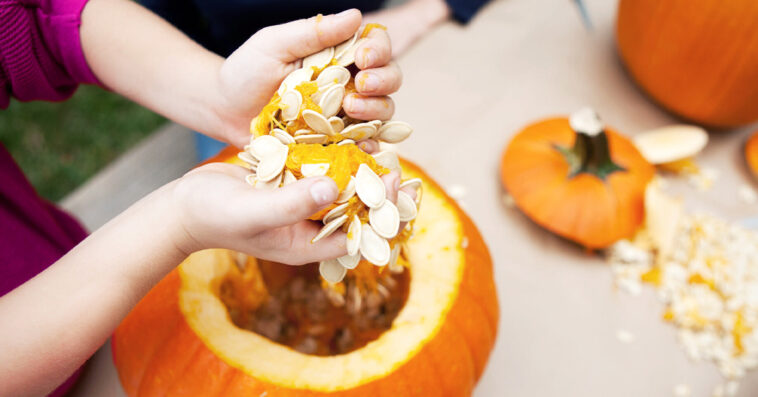 Can you eat the inside of a pumpkin?