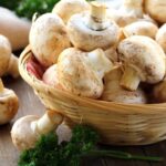 Can you freeze field mushrooms?