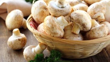 Can you freeze field mushrooms?