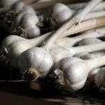 Can you get botulism from chili oil?