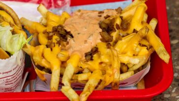 Can you get protein Style and animal Style?