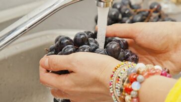 Can you get sick from eating kibbeh?