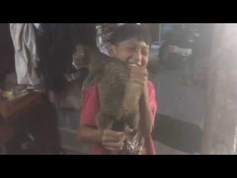 Can you get sick from too much shrimp?