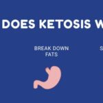 Can you go into ketosis after one day?