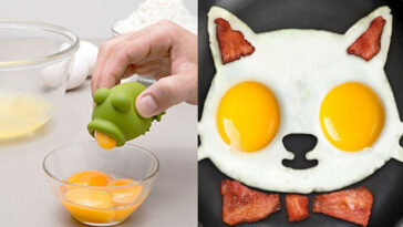 Can you live without eggs?