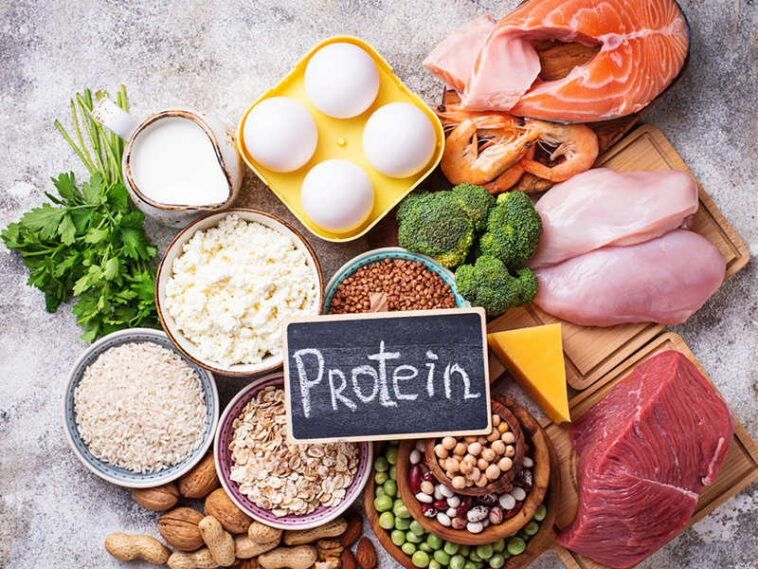 Can you only digest 30 grams of protein?