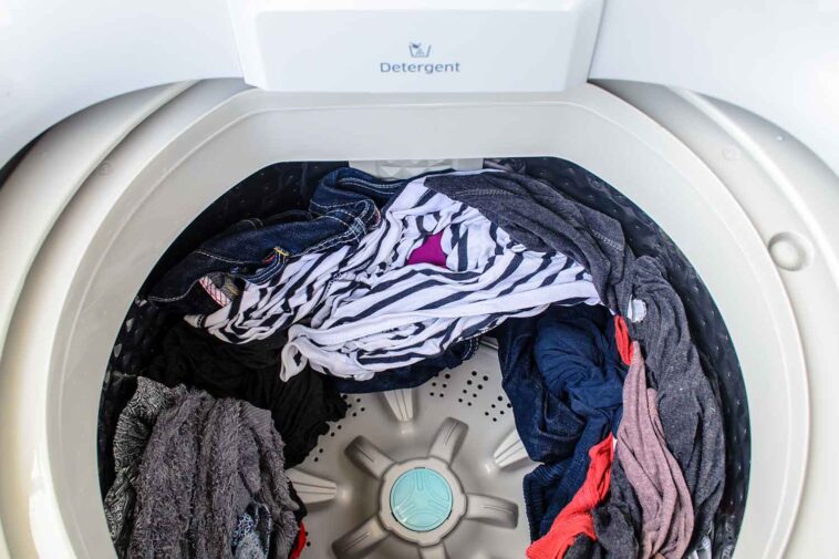 Can you put poop in the washing machine?