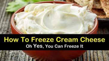 Can you refreeze cream cheese?