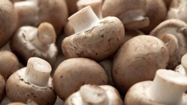 Can you store mushrooms in Tupperware?