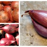 Can you use shallots instead of onions in risotto?