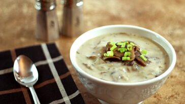 Did Campbell's change their cream of mushroom soup?