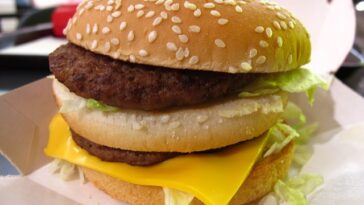Did Mcdonalds ever have small burgers?
