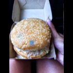 Do Big Macs mold?