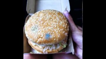 Do Big Macs mold?