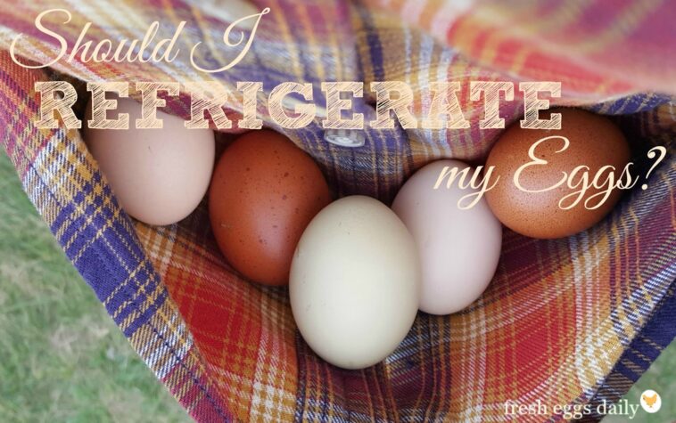 Do I have an egg sensitivity?