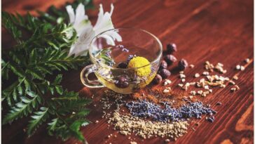 Do adaptogens help with memory?