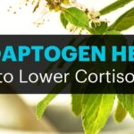 Do adaptogens reduce cortisol?