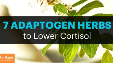Do adaptogens reduce cortisol?