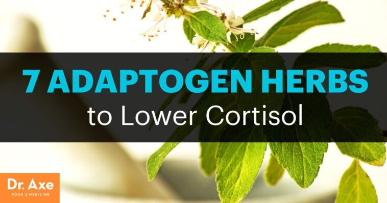 Do adaptogens reduce cortisol?