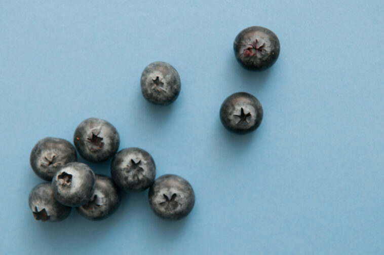 Do antioxidants help you lose weight?