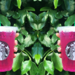 Do any fruits have caffeine?