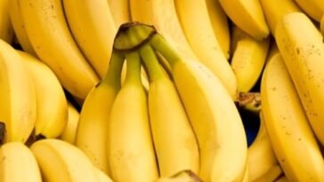 Do bananas help lose water weight?
