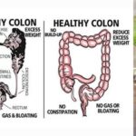 Do beans clean out your colon?