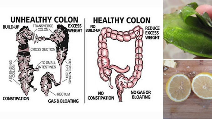 Do beans clean out your colon?