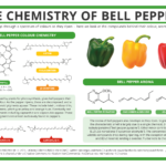 Do bell peppers cause smelly gas?