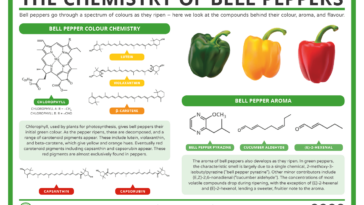 Do bell peppers cause smelly gas?