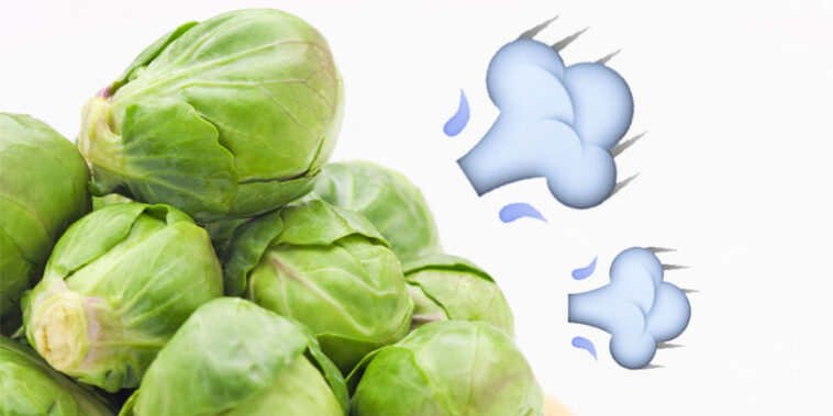 Do brussel sprouts make you gassy?