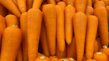 Do carrots help you poop?