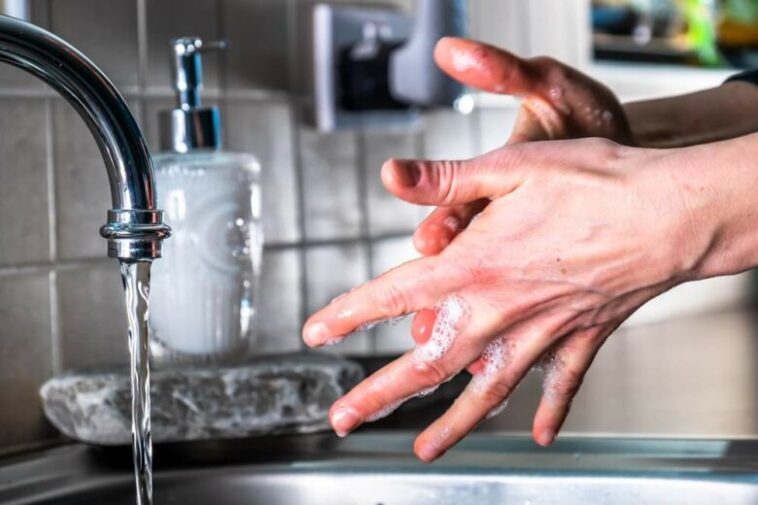 Do chefs wash their hands?