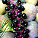 Do cherries have a laxative effect?