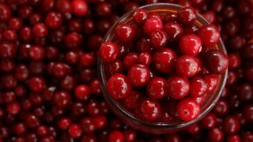 Do cranberries make you poop?
