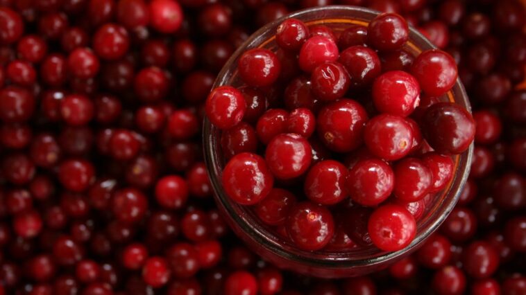 Do cranberries make you poop?