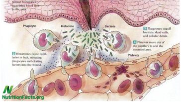 Do eggs cause inflammation?