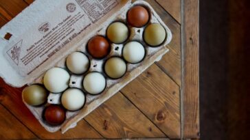 Do eggs have copper?