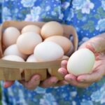 Do eggs raise your iron levels?