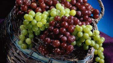 Do grapes cause gas?