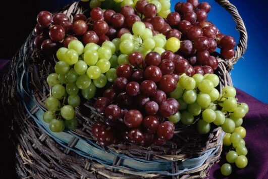 diarrhea-from-grapes-archives-healthnord