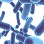 Do green powders help with bloating?